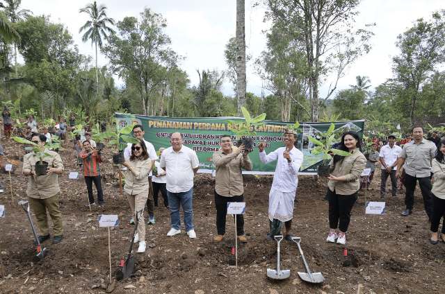 Ossy Dermawan
