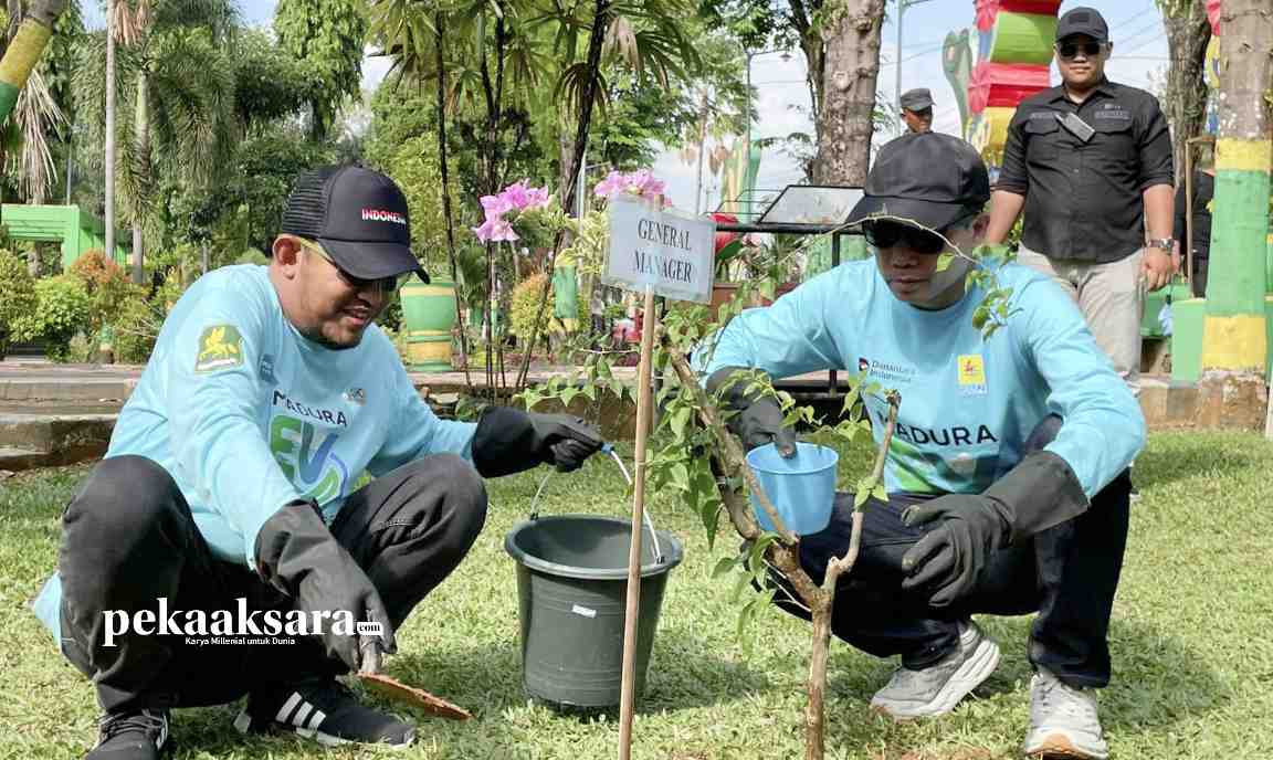 Bupati achmad fauzi