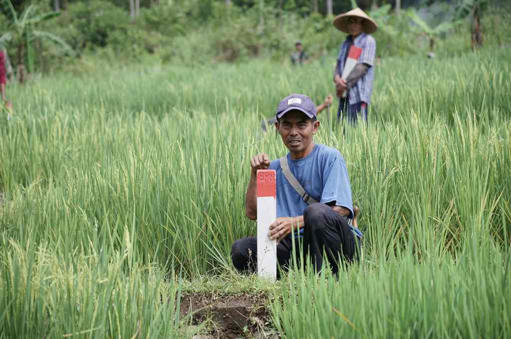 Gemapatas