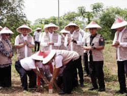 Gemapatas