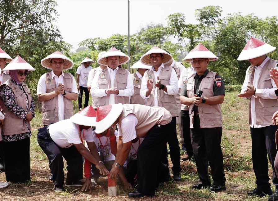 Gemapatas