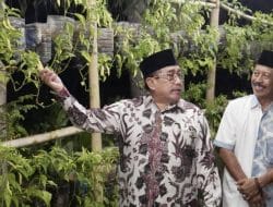 Kampoeng cabe