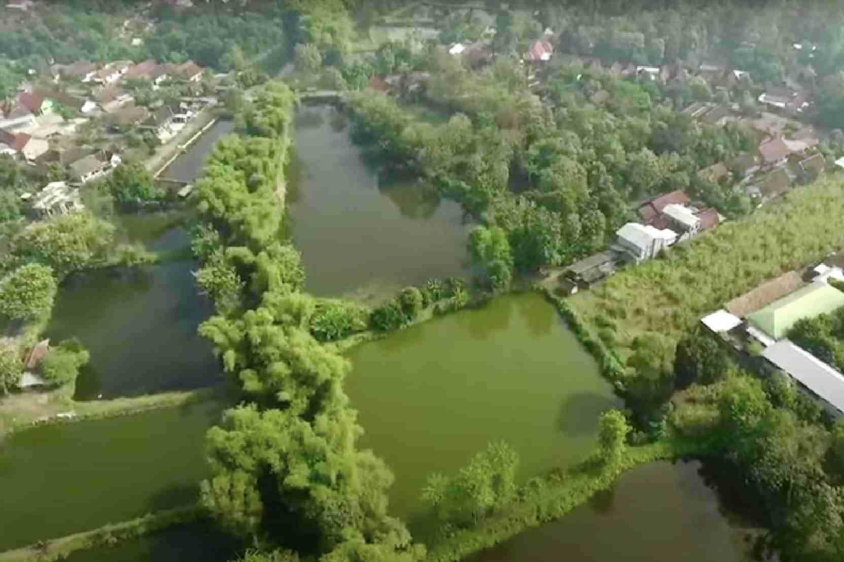 Desa Rejoagung