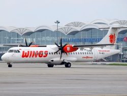 Wings air