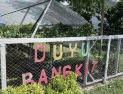 Peka Aksara - Karya Milenial Untuk Dunia 1 Pertanian