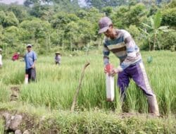 Peka Aksara - Karya Milenial Untuk Dunia 3 Patok