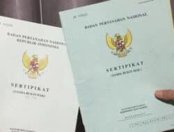 bidang tanah