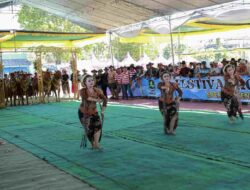 Peka Aksara - Karya Milenial Untuk Dunia 1 sapi sonok