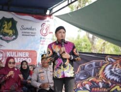 Peka Aksara - Karya Milenial Untuk Dunia 10 karapan sapi betina